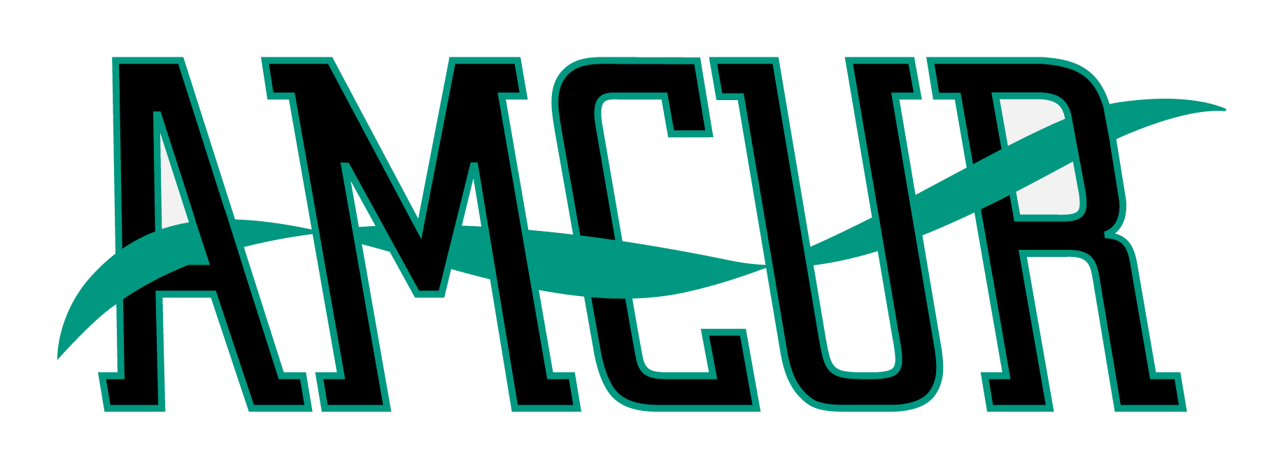 AMCUR – Steuer- und Unternehmensberatung